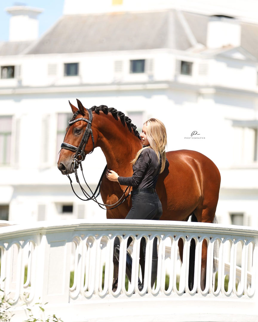 Carmen Coronel - Influencer social media paarden