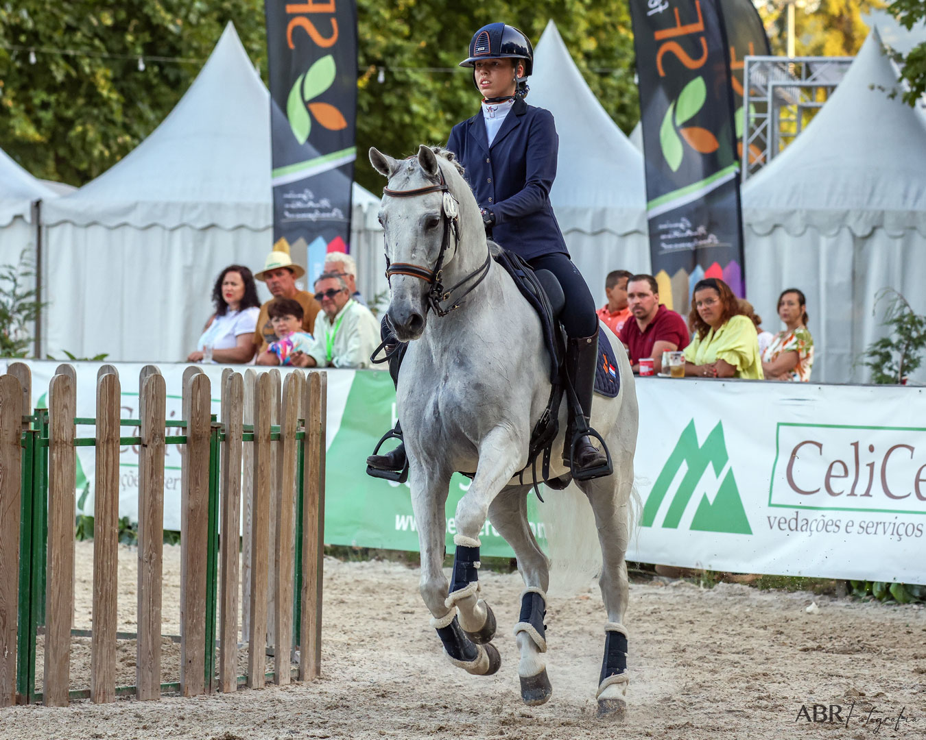 Carmen Coronel - Working Equitation en Dressuur